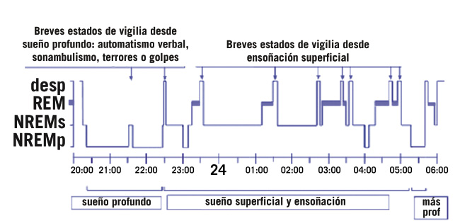 El Sueño, clave en tu progresión 1 El Sueño, clave en tu progresión 1