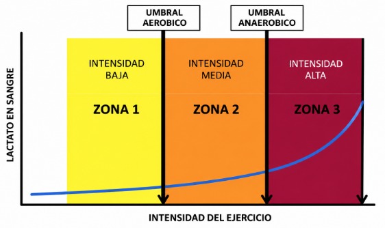 Zona 2 en ciclismo: cuánto tiempo entrenar y cómo aprovecharla de verdad 1